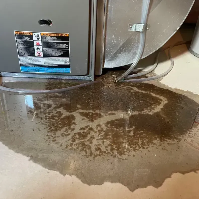 Appliance Leak Cleanup in Clinton County, NY